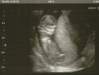 scan1_lowres.jpg