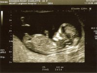 scan0002.jpg