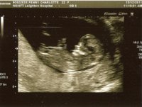 scan0001.jpg