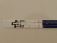 OPK 1.JPG