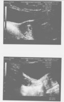 scan 1012.jpg