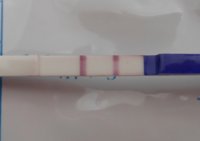 CD 13 10.15am.JPG