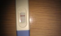 15 DPO .jpg