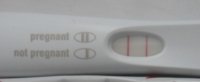 HPT 030112 FRER.JPG