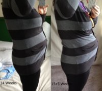 1416Wks.jpg