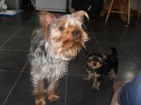 Missy&Mya.jpg