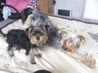Missy&Myax.jpg