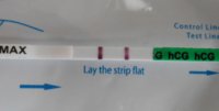 HPT 6.JPG