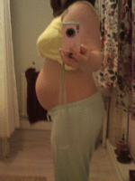 26weeks.gif