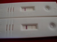 Picture 001.jpg