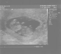 scan 1601.jpg