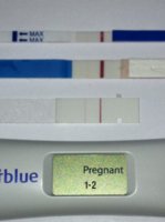 C 18 Diggi 10 dpo.jpg