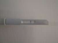 More HPT's 002.jpg