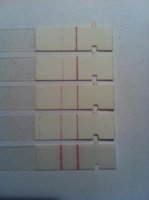 C 18 13 dpo FRERS.jpg