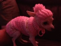 ImageUploadedByTapatalk1328355971.303698.jpg