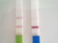 pregnancy test 2 14dpo.jpg