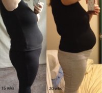 1620wks.jpg
