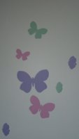 Nursery close up butterflies .jpg