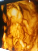 pic 2.jpg