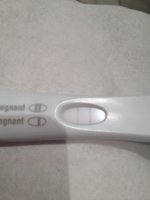 ImageUploadedByTapatalk1328900722.633448.jpg