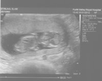 scan 3001.jpg