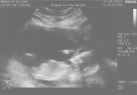 Scan 19022.jpg