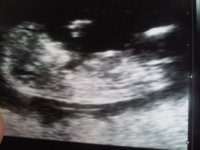 Baby Mills No.2 11+6.jpg