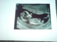 scan.jpg