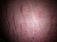 ImageUploadedByTapatalk1330449805.564321.jpg