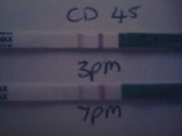 2012-03-04 19.33.03.jpg