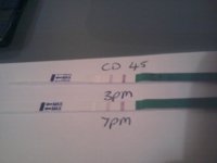 2012-03-04 20.04.23.jpg
