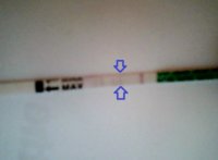 Snapshot_20120310_6.JPG