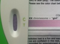 Gender test 10w 5d pink!.jpg