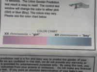 Gender test colour scale.jpg