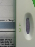 Gender test 10w 5d boy scale.jpg