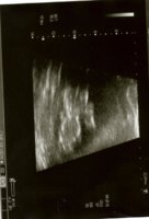 img010.jpg