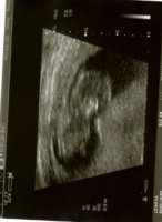 img011.jpg