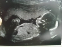 scan2.jpg