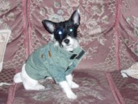 Tink (11).jpg