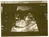 scan0002.jpg