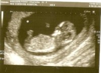 scan0001.jpg