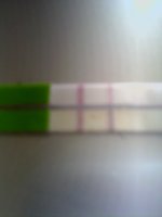 IMG0019A.jpg