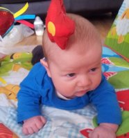 resized dylan.jpg