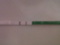 IMG-20120421-00030.jpg