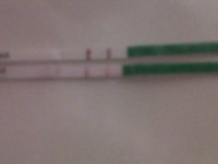 IMG-20120422-00031.jpg