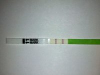 C16 OPK 26th Oct .jpg