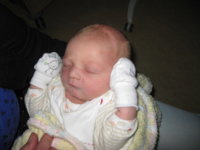 Camera Pics 243.JPG