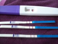 pregtest3.jpg