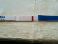ImageUploadedByTapatalk1336902881.818767.jpg