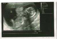 scan 17-5.jpg